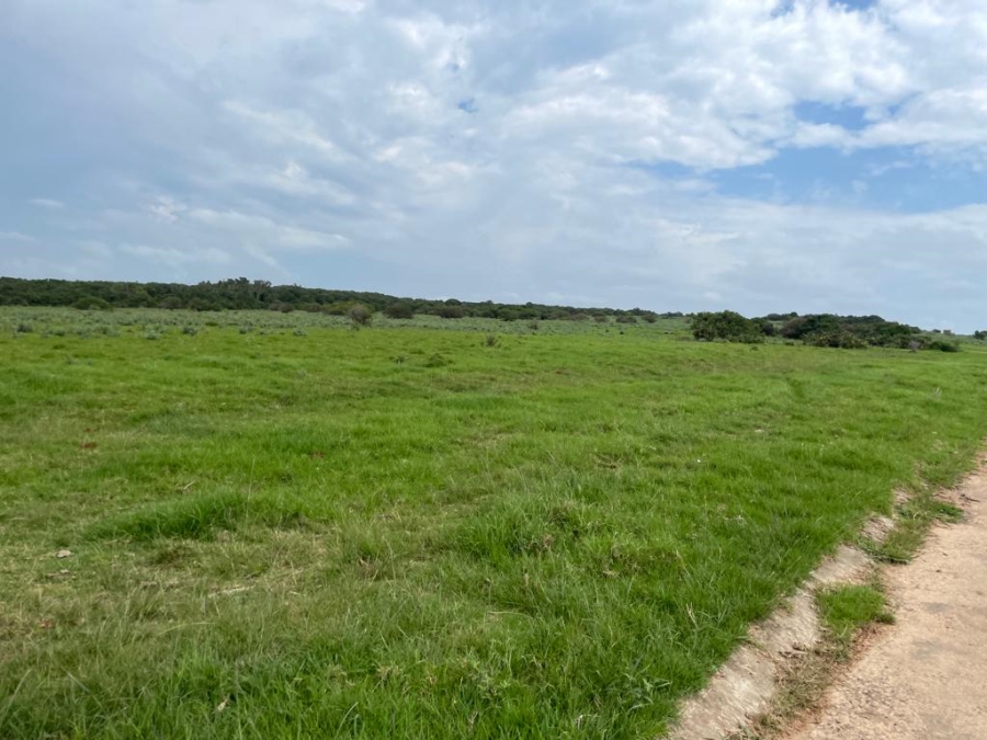 0 Bedroom Property for Sale in West Bank Eastern Cape